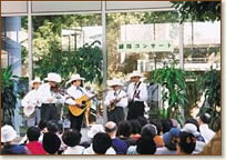 �ΉA�R���T�[�g