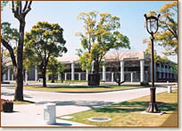 �����}����