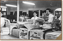 �N��c������������錣�{�}��