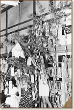 �q�ǂ����ɏ���ꂽ���[����i���a30�N7���j