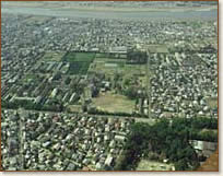 ���{���w�_�w���i���a50�N��j